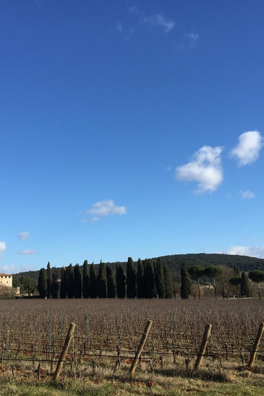 Siena: Tour and Wine Tasting in a Tuscan Private Castle - The Chapel, Castle, and Renaissance Gardens