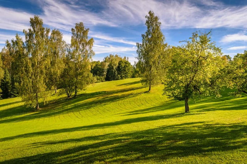 Sigulda Day Tour - Castle Ruins, Gūtmaņala Grotto, & More - Who will enjoy this tour most