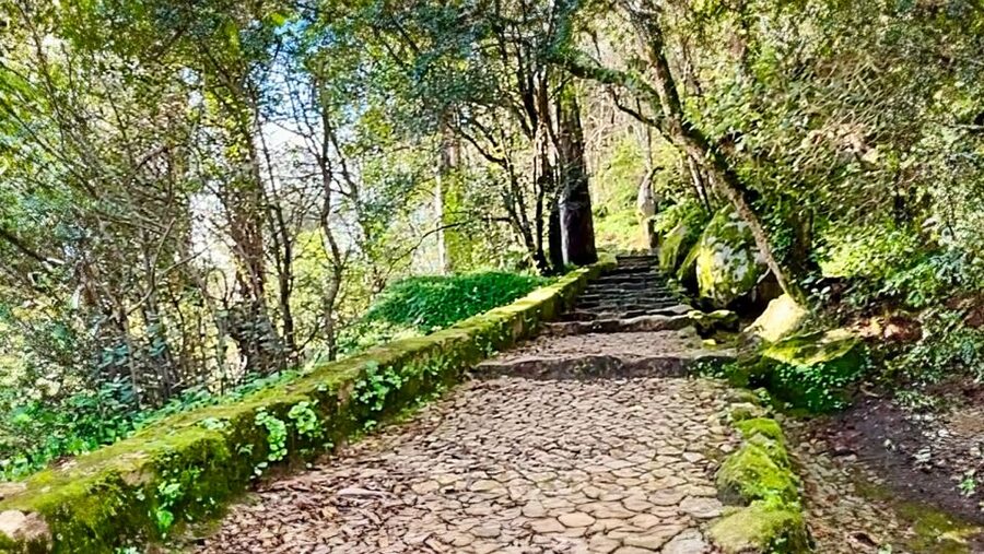 Sintra: Adventure hike around Sintra's most popular castles - Climbing toward the Castle of the Moors