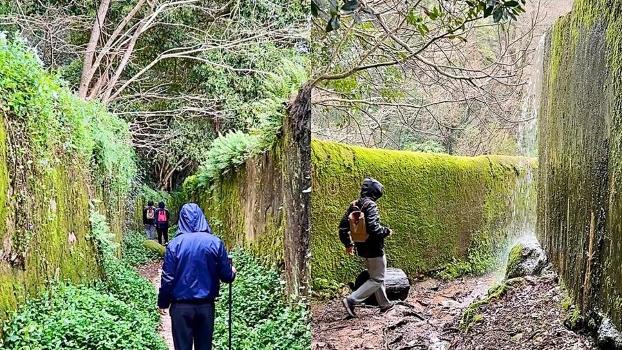 Sintra: Adventure hike around Sintra's most popular castles - Finding the mystery of Quinta da Regaleira