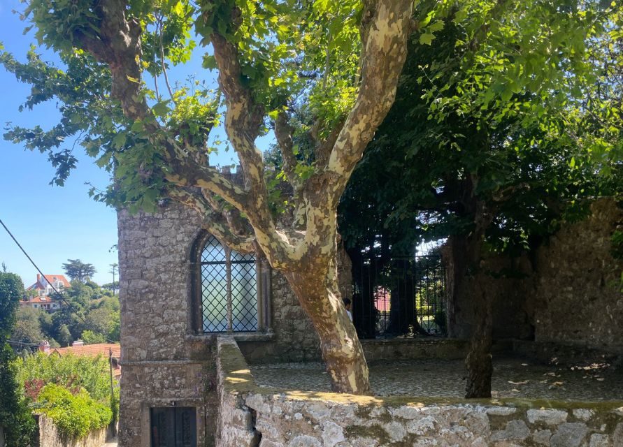Sintra: Adventure hike around Sintra's most popular castles - Starting at São Pedro de Sintra