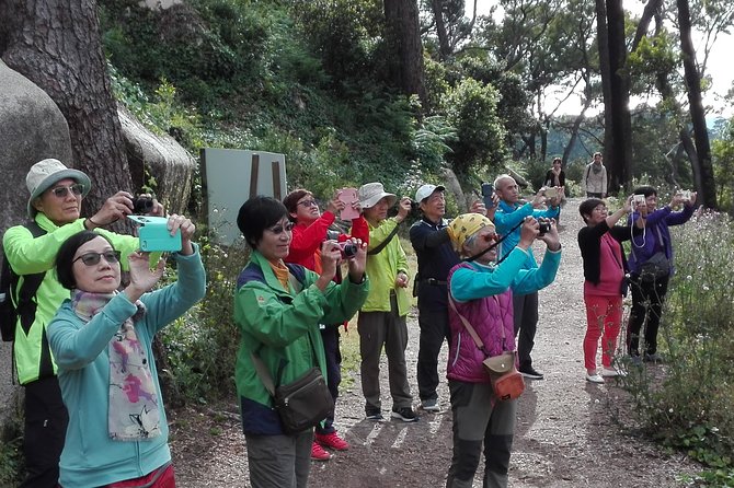Sintra Full-Day: Pena, Moorish Castle & Regaleira with Tickets - What the $234.80 price buys you