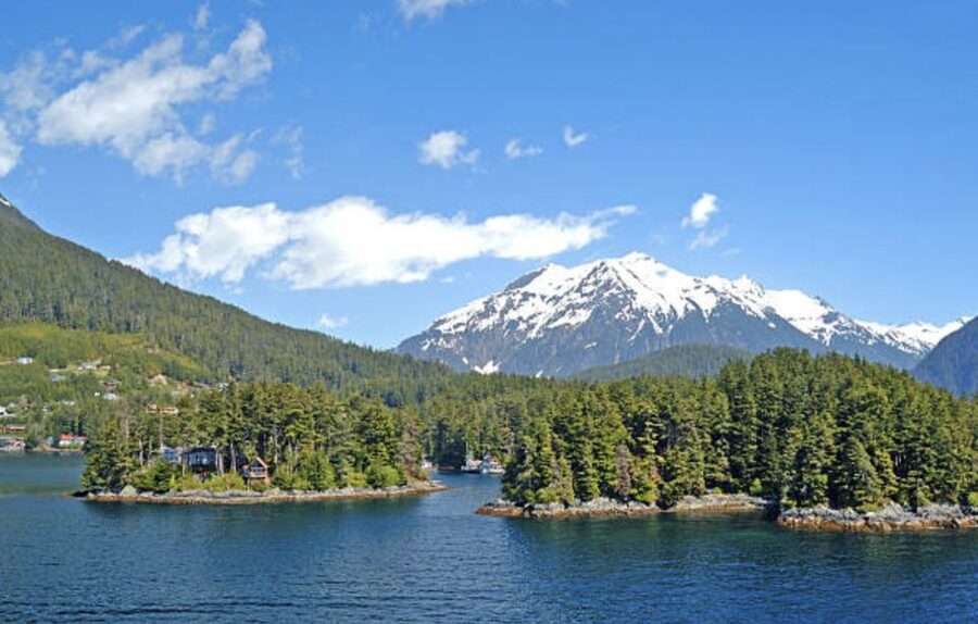 Sitka: Totem Poles, Raptor Centre, & Fortress of Bears Tour - Why this Sitka tour works well in a short port visit