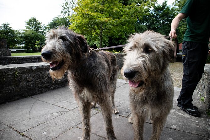 Skip the Line: Bunratty Castle and Folk Park Admission Ticket - Who will enjoy Bunratty most?