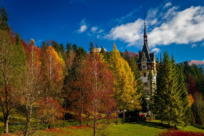 Small-Group Day Trip to Dracula's Castle, Brasov and Peles Castle - Brasov: the stop that deserves more time