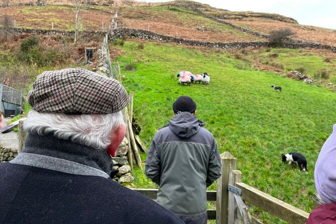 Small Group Kylemore Abbey, Sheepdog Demo & Connemara Tour - Leaving Galway for Maum Valley