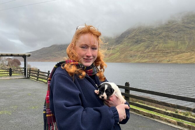 Small Group Kylemore Abbey, Sheepdog Demo & Connemara Tour - Is $126.98 a fair price?