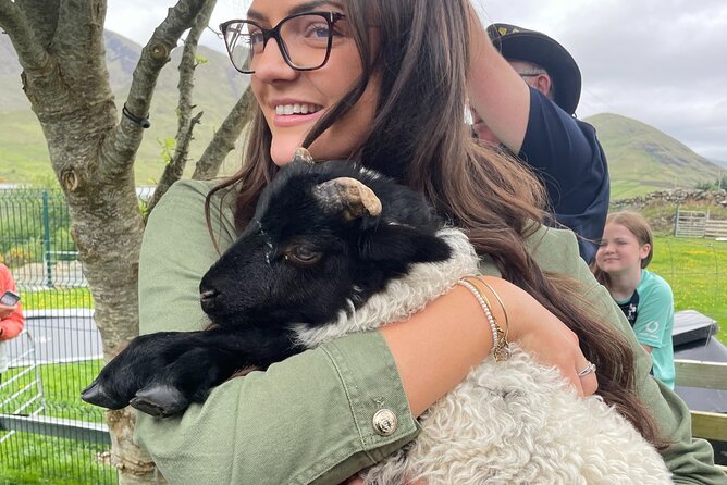 Small Group Kylemore Abbey, Sheepdog Demo & Connemara Tour - Who should book this Connemara tour?