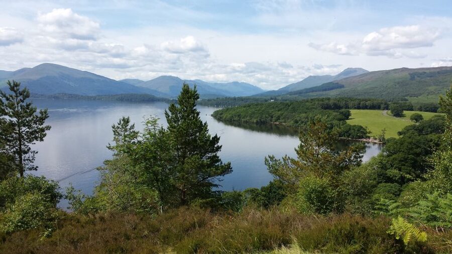 Stirling Castle, Highland Lochs & Whisky Tour from Edinburgh - Highland cows and the road to Loch Lomond