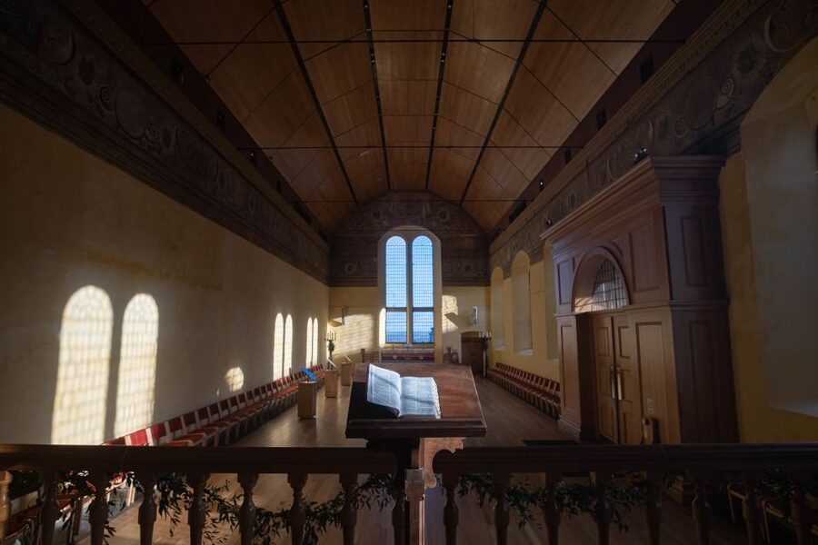 Stirling Castle: Skip-the-Line Guided Tour in Spanish - John Damian, the bird-man of Stirling