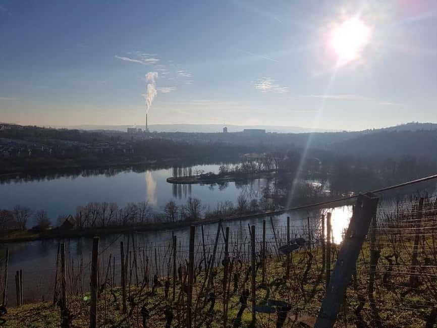 Stuttgart: 4-Castle Winter Hike with Costume Tour - Following the monk or nun through the vineyards