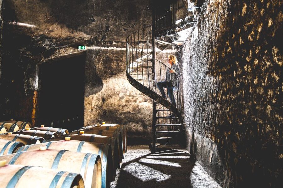 Taillan-Médoc: Château Visit and Wine Tasting in Bordeaux - Why Château du Taillan makes a good short wine visit