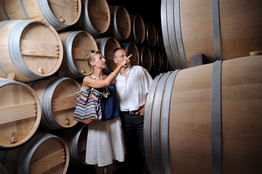 Taillan-Médoc: Château Visit and Wine Tasting in Bordeaux - Two wines in the boutique