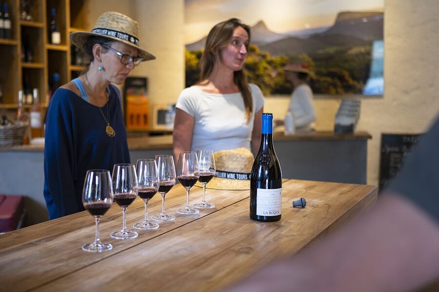 The Châteaux of Grès de Montpellier & Wine Tasting - The guides make or break the experience