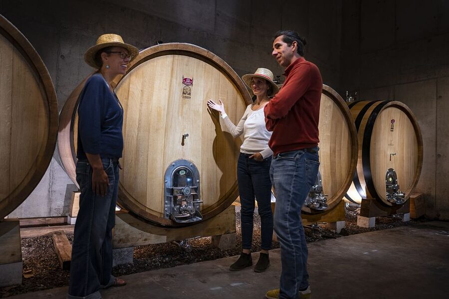 The Châteaux of Grès de Montpellier & Wine Tasting - Timing, group size, and comfort