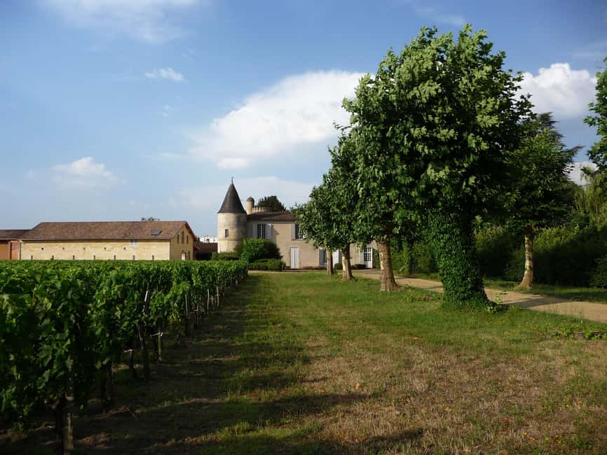 The vertical at Château Cruzeau - What makes Château Cruzeau worth your time