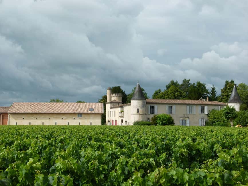 The vertical at Château Cruzeau - Arriving at a five-generation family estate