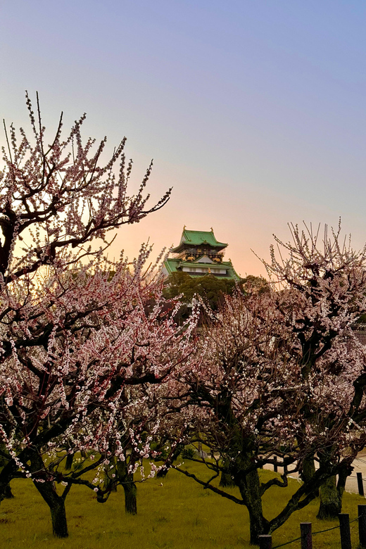 (Ticket Included) Explore Osaka Castle & Museum of History - Two ways to see Osaka Castle Park