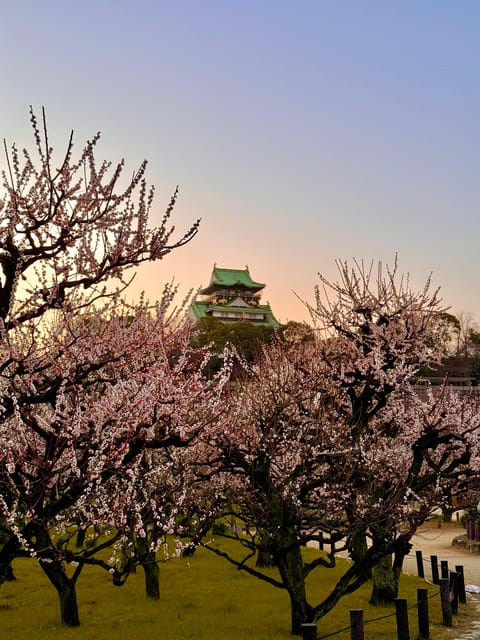 (Ticket Included) Explore Osaka Castle & Museum of History - Who will enjoy this experience most?