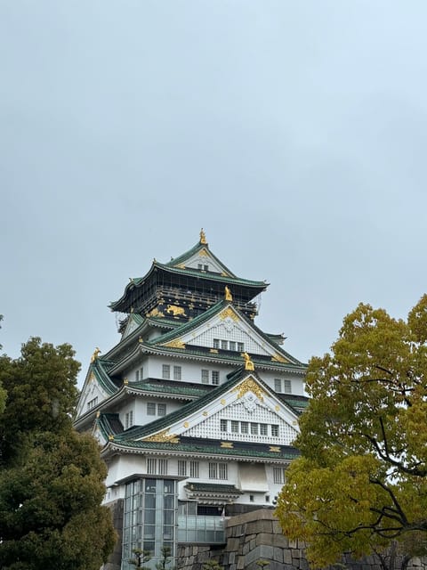 (Ticket Included) Explore Osaka Castle & Museum of History - Meeting at Naniwanomiya Park