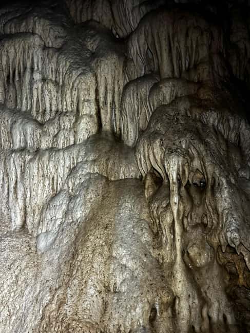 Tirana Adventure: Petrela Castle, Black Cave Hike & Zipline - The guides are a major part of the value