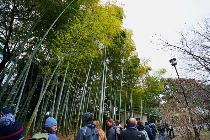 Tokyo Castle & Imperial PalaceーShogun Walking Tour - Starting beside the Wadakura Fountain Park
