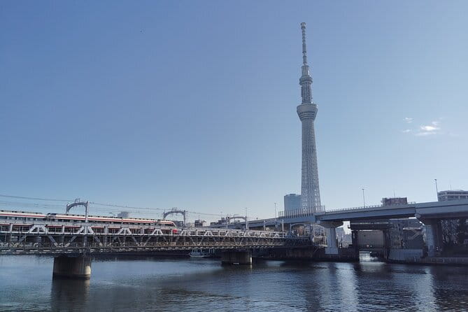 Tokyo Castle & Imperial PalaceーShogun Walking Tour - The Edo Castle tower ruins