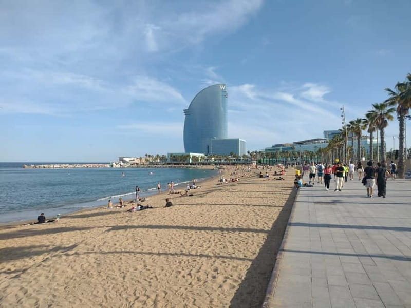 Tour of Barceloneta and the Citadel Park - Italian-language guiding and tour quality
