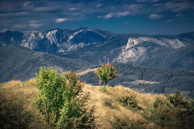 Transfer Bucharest -Brasov with Targoviste and Bran Castle visits - A useful guide can change the pace of the day