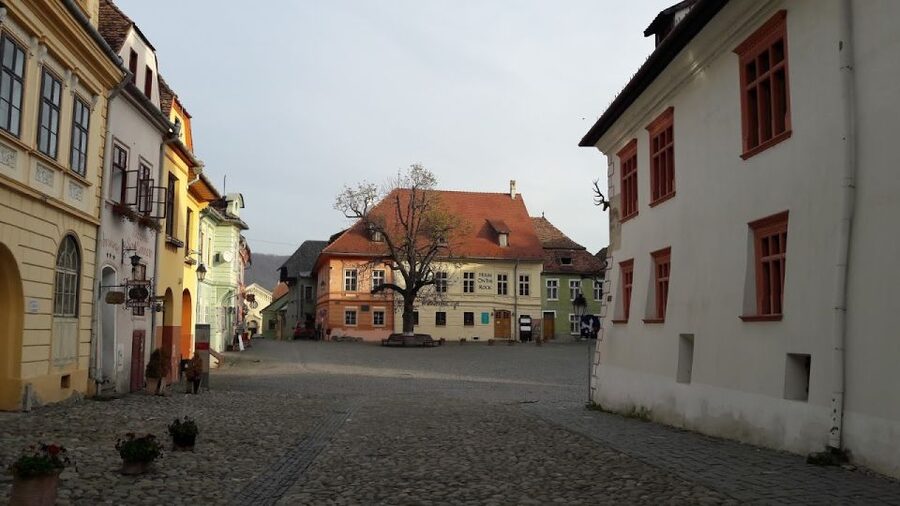 Transylvania: Dracula's Castle and Birthplace Tour - Why This Route Works From Cluj-Napoca