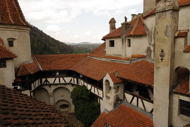 Transylvania with Dracula Castle, Bear Sanctuary and Brasov - The guide can make or break a very long day