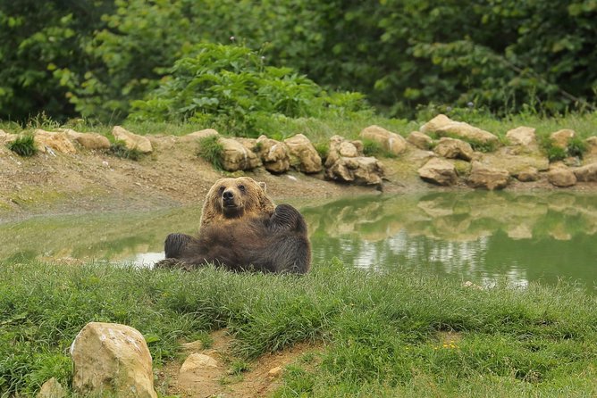 Transylvania with Dracula Castle, Bear Sanctuary and Brasov - What to pack for comfort