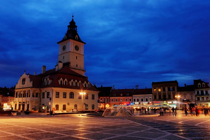 Transylvania with Dracula Castle, Bear Sanctuary and Brasov - Libearty Bear Sanctuary: the day’s most meaningful stop