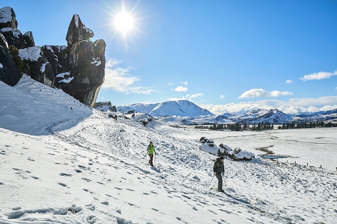 TranzAlpine Train, Arthur's Pass and Castle Hill Day Trip - Comfort, transport, and the true value of $254.44