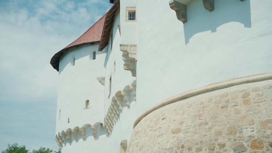 Two Castle E-Bike Tour: From Slovenia to Croatia - Wine, cold cuts, and the Zagorje table