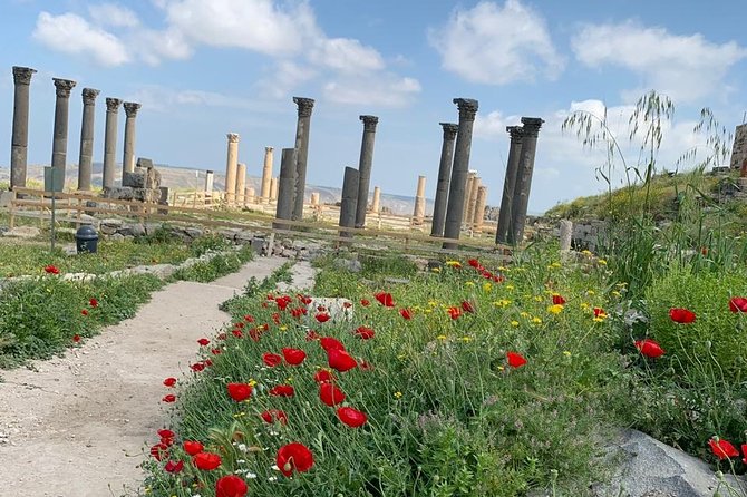 Umm Qais, Jerash & Ajloun Castle Day Tour from Amman - Why this northern Jordan day trip works
