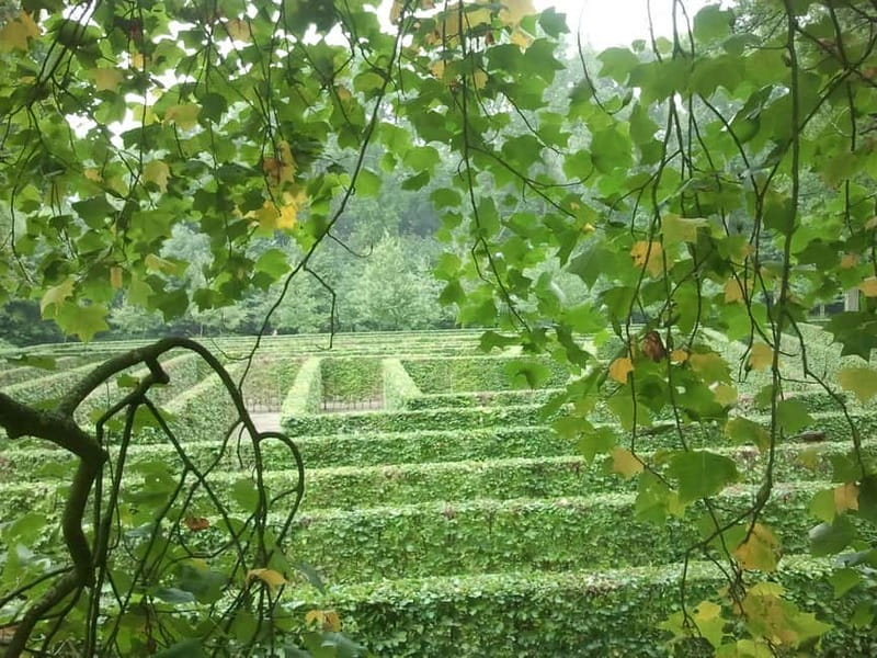 Utrecht: De Haar Castle Gardens and Park Only Entry Ticket - Key things to know before you go