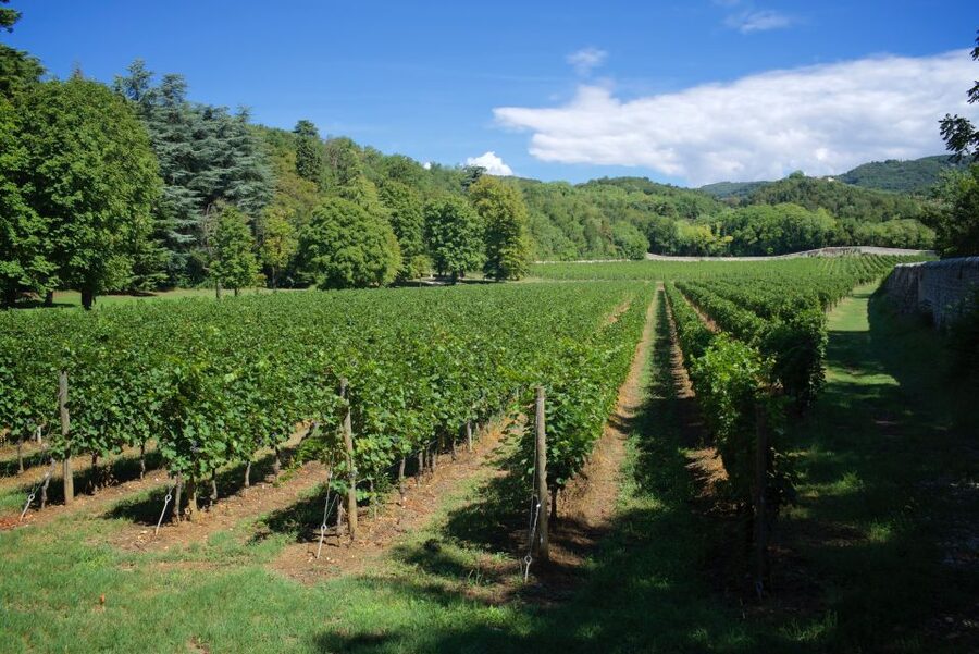 Valpolicella: Amarone Chateau Guided Tour and Wine Tasting - Key points at a glance