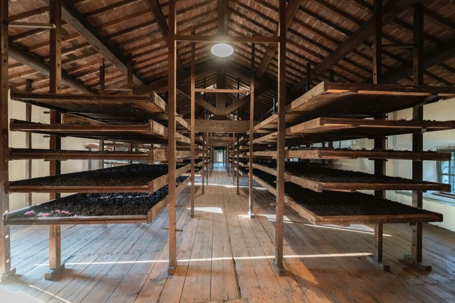 Valpolicella: Amarone Chateau Guided Tour and Wine Tasting - Why Tenuta Santa Maria makes a good wine stop