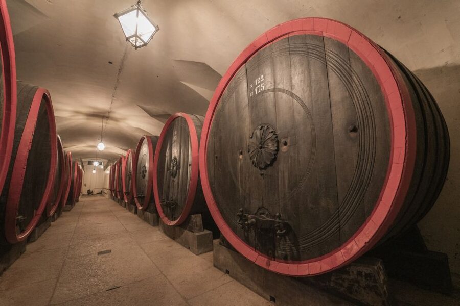 Valpolicella: Amarone Chateau Guided Tour and Wine Tasting - Who should book this experience