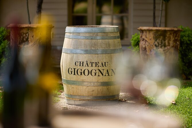 Visit of the cellars of Château Gigognan with tasting - Inside the winery where grapes become wine