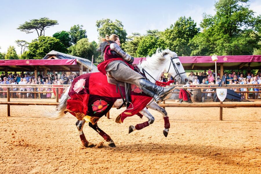Warwick: Entry Ticket for Warwick Castle - Warwick Castle turns history into a full day out