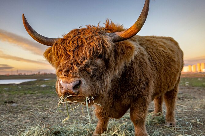 West Coast Lochs & Castles Tour - from Glasgow - Why this western Highlands route works