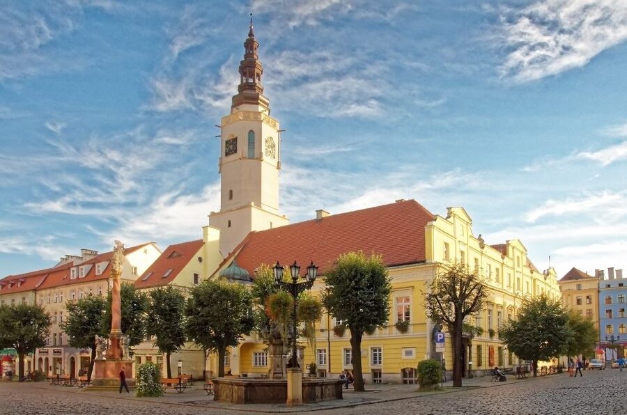 Wroclaw: Lower Silesia, Ksiaz Castle & Church of Peace Tour - Świdnica’s Market Square and its Neptune fountain